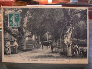 cpa 07 la louvesc allee ferme de maison claire troupeau - Picture 1 of 1