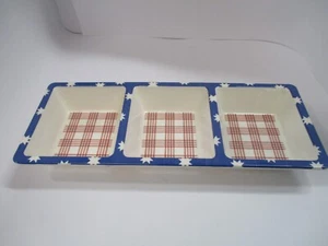 Relish Divided Tray Picnic with Patriotic Design .. Zak Designs - Picture 1 of 7