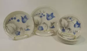 Syracuse China Set Lot VTG Restaurant Dish ware Plates Shelledge Vogue Airbrush - Picture 1 of 12
