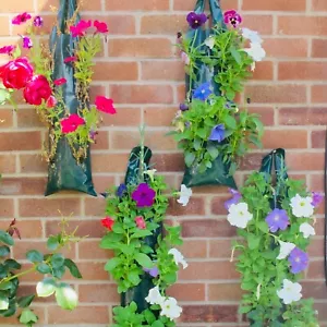 Hanging Strawberry Tomato Flowers Wall Grow Bags - Pack of 6 + 1 Free - 10 Slits - Picture 1 of 11