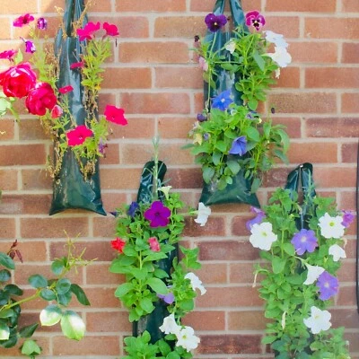 Hanging Strawberry Tomato Flowers Wall Grow Bags - Pack of 6 + 1 Free - 10 Slits - Image 1 of 4