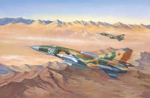 1/48 Trumpeter Mig23MLD Flogger K Russian Fighter - Picture 1 of 16