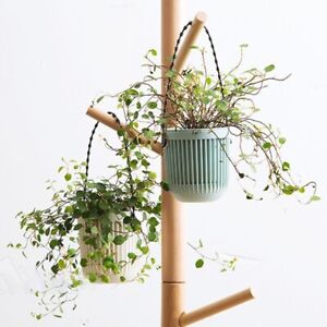 Double-Layer Hanging Plant Holder Lazy Water Plastic Basket Wall Flower-Pot