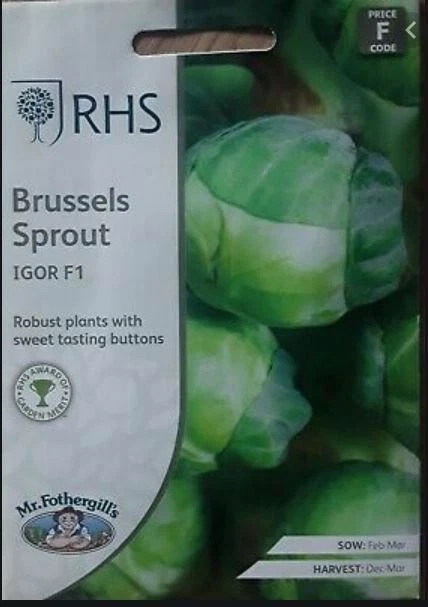Mr Fothergills - RHS Vegetable - Brussels Sprout Igor F1 - 30 Seeds - Image 1 of 1