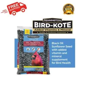 Pennington Select Black Oil Sunflower Seed Wild Bird Feed, 10 lb. Bag - Picture 1 of 8