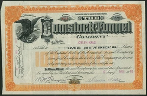 U.S.A.: Comstock Tunnel Company, 100 shares, 1889, signed by Theodor Sutro - Picture 1 of 1