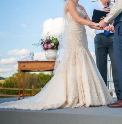 Vestido de novia Allure C306 vestido de baile 10-14 sirena dorado tul encaje Foto 1 de 4