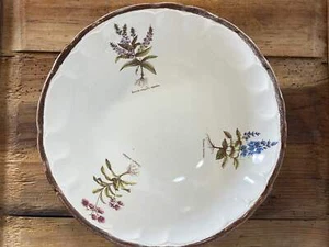 Vintage French Botanical Faïence Set – Soup Bowl & 3 Plates, Haute Provence - Picture 1 of 13