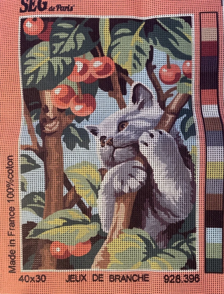 @@@@**SUPERBE CANEVAS NEUF DE SEG -  40X30CM  JEU DE BRANCHE****@@@ - Photo 1/1