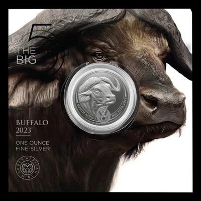 2023 South Africa Big Five Buffalo 1 oz Silver Coin - in blister pack - Image 1 of 4