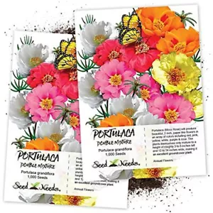 Seed Needs, Portulaca "Double Mix" (Moss Rose) Twin Pack Of 1, 000 Each Plants - Picture 1 of 4