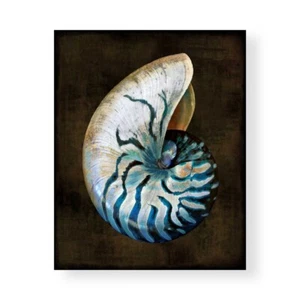 Stampa su Tela su Carta Poster o Quadro Kelly Caroline Ocean Treasure IV - Imagen 1 de 2