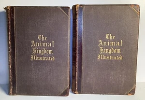 Lot2 Johnson’s NaturalHistory Animal Kingdom Illustrated Vol1 &2 byGoodrich 1879 - Picture 1 of 7