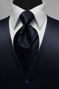 Brand New Luxury Premiere Tuxedo Vest & Striped Necktie - Picture 1 of 9