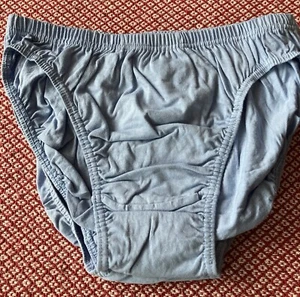 3 Pairs Light Blue Pants - Size Large - Briefs - 100% Cotton BNWT - Picture 1 of 7
