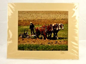 Amish Draft Horse Plow Team, mattierter Fotodruck, Wade Wilcox, Vintage Art - Bild 1 von 6