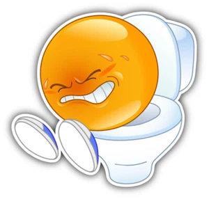 Smile In Toilet Car Bumper Sticker Decal - Picture 1 of 1