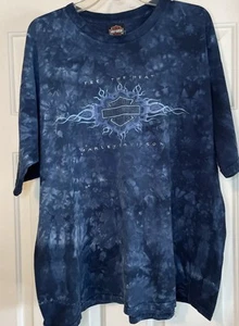 Harley Davidson Shirt XL Vintage Feel The Heat - Picture 1 of 5