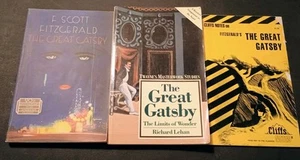 📚 The Great Gatsby By F. Scott Fitzgerald With Companion Book & Cliffs Notes - Picture 1 of 9