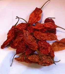 Vainas secas Bhut Jolokia chile fantasma - The Hot Pepper Company - Imagen 1 de 3