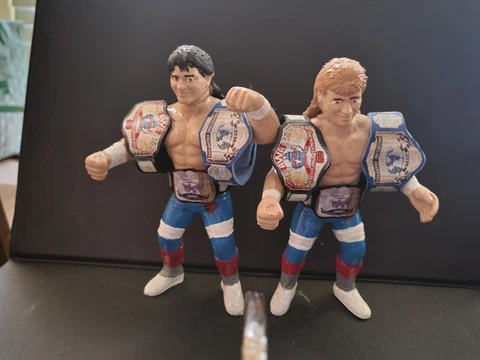 WWF WCW HASBRO TGE ROCK N ROLL EXPRESS GALOOB WRESTLING FIGURE MATTEL Cover