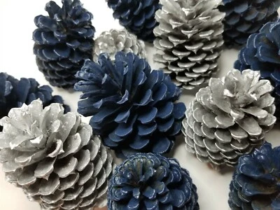 🎅15 Conos de Pino Azul Real y Plata Pintados a Mano Natural Premium Conos Ponderosa Foto 1 de 4
