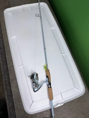 Combo giratório Pflueger Lady Trion ~6 pés 6 polegadas ~ 2 vara de pesca azul - Imagem 1 de 4