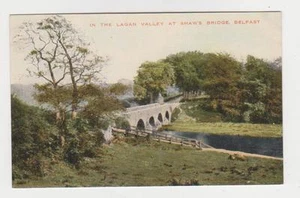 Belfast,No.Ireland,Langan Valley,Shaw's Bridge,County Antrim,c.1909 - Picture 1 of 1