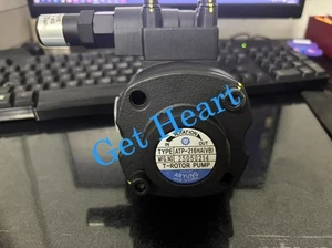 1pcs NEW ATP-216HAVB gear pump FedEx or DHL or UPS - Picture 1 of 6