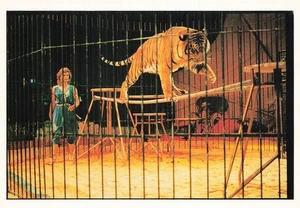 LE CIRQUE MEDRANO - Picture 1 of 2