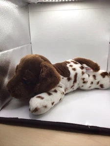 Aurora World Plüschtier Flopsie GIO der Deutsch Kurzhaar Hund 12 Zoll - Bild 1 von 8