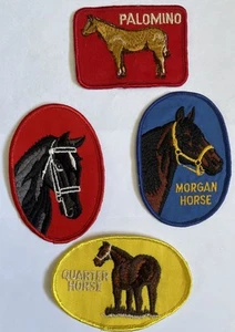 Vintage Lot of  FOUR HORSE Embroidered SEW-ON Patches QUARTER MORGAN PALOMINO - Picture 1 of 3