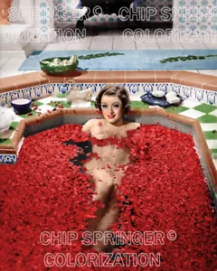 MYRNA LOY in The Barbarian | Sexy Cheescake 8x10 COLOR PHOTO by CHIP SPRINGER - Picture 1 of 1