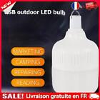 Lampe de camping à LED avec lampe de décoration de jardin à crochet pour équipem
