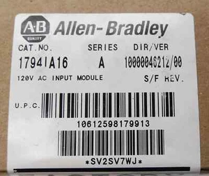 NEW FACTORY SEALED ALLEN BRADLEY 1794-IA16 INPUT MODULE 1794IA16 - Foto 1 di 3