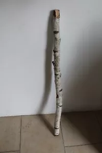 Birkenast ca. 83 cm Birkenzweig Birkenstamm Birke unbehandelt - Bild 1 von 4