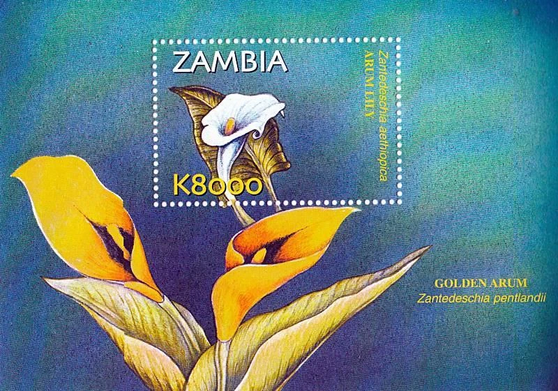 ZAMBIA 2002 Flowers S/S SC#992 mnh nuevo 💲ENVÍO GRATUITO💲 Foto 1 de 1