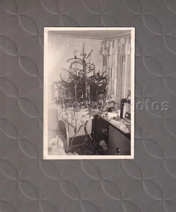 Einsamer Weihnachtsbaum Fund Original Vintage Foto G134 - Bild 1 von 1