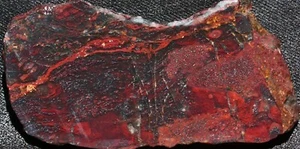 A1198 ~ losa de jaspe brechado de 2,1 oz ~ Biwabik, Minnesota - Imagen 1 de 8