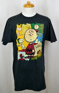 Charlie Brown T-shirt Peanuts Comic Strip Panels Graphic Tee Dark Hthr Gray NWT - Picture 1 of 2