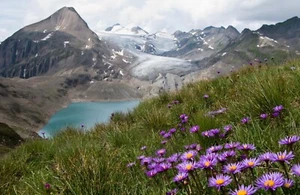 VLIES Fototapete-BERGPANORAMA-(7407ah) Natur Wald Bäume Alpen XXL Wandbild - Bild 1 von 1