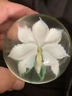 Orient And Flume Spider Orchid Paperweight Signed M. Quinn Limited Edition