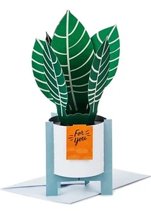 Paper Wonder Pop-Up Card, Potted Plant For You, JUST BECAUSE, By Hallmark - Picture 1 of 5