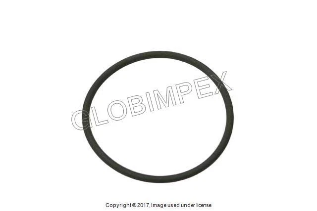VOLKSWAGEN Beetle Golf Jetta (2004-2006) EGR Valve O-Ring (44 X 2.5 mm) GENUINE - Image 1 of 1