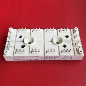 NEW SKDH116/16-L100 SKDH11616-L100 For SEMIKRON MODULE - Picture 1 of 2