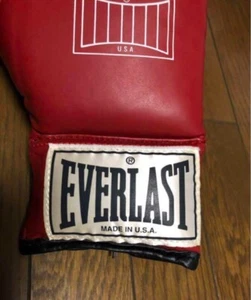 Super Rare Everlast 8Oz Official Match Gloves "UNUSED" - Picture 1 of 9