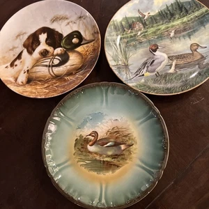 vintage duck plates - Picture 1 of 8