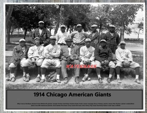 Negro Baseball 1914 Chicago American Giants Team Picture 8 X 10 Photo Picture Cover