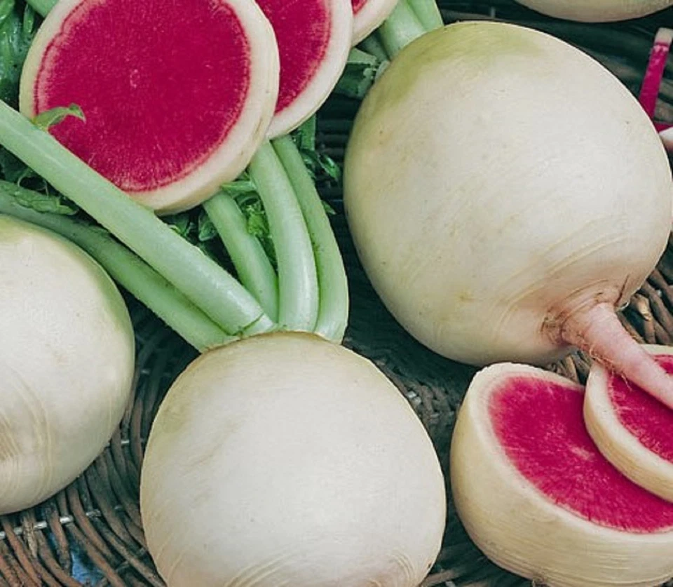 Semillas de rábano sandía 100+ semillas no transgénicas --compra 4 artículos envío gratuito Foto 1 de 1