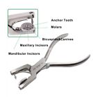 Dental Rubber Dam Punch Ainsworth Rotatory 5 Hole Perforator Endo Clamp Pliers
